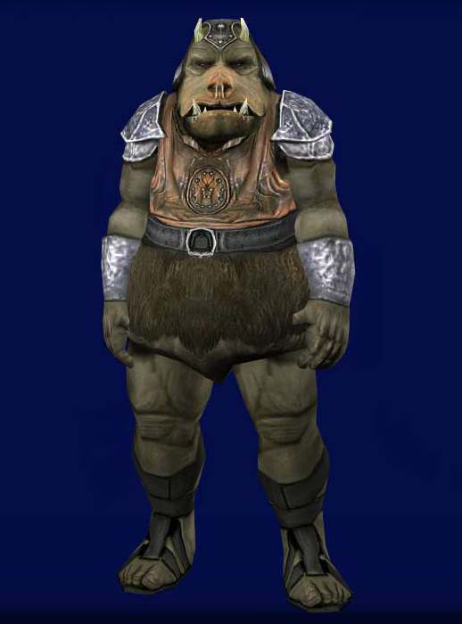 Rautog appearance 