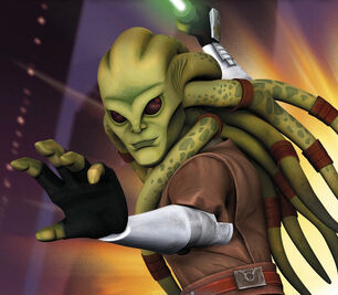 3500314-kit fisto 2.jpg