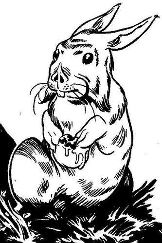 Ash-rabbit