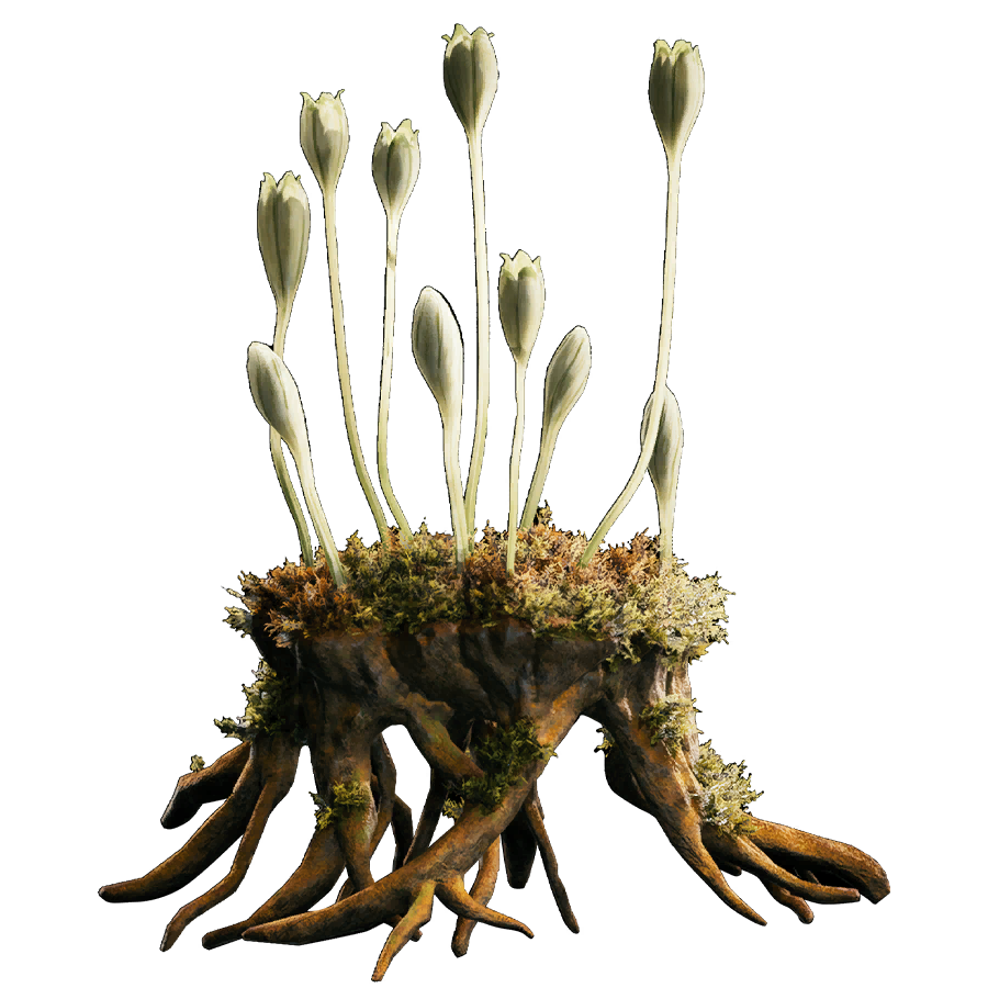 Goldenlight moss appearance 