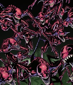 A horde of red Xerexi
