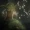 Firefly/Legends