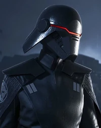 SecondSister-Databank