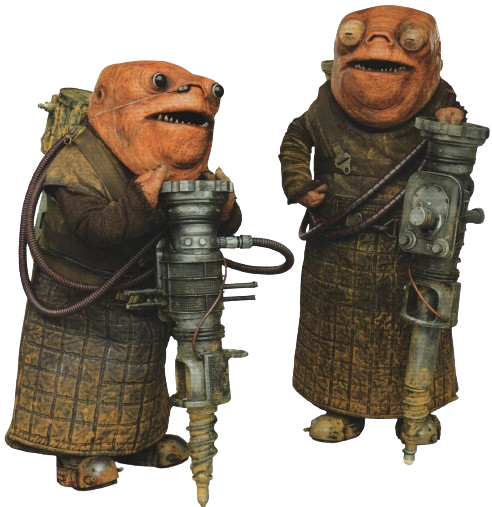 Dwuni appearance 