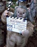 Ewokdirector