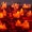 Fire Trap