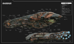 MC85 Raddus cross-section