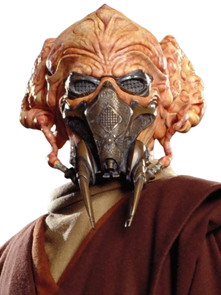 Магистр пло кун. Пло кун без маски. PLO Koon.