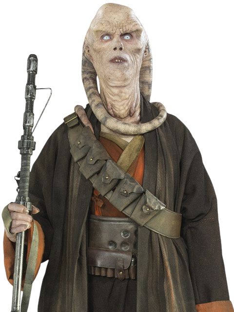Beezer Fortuna appearance 