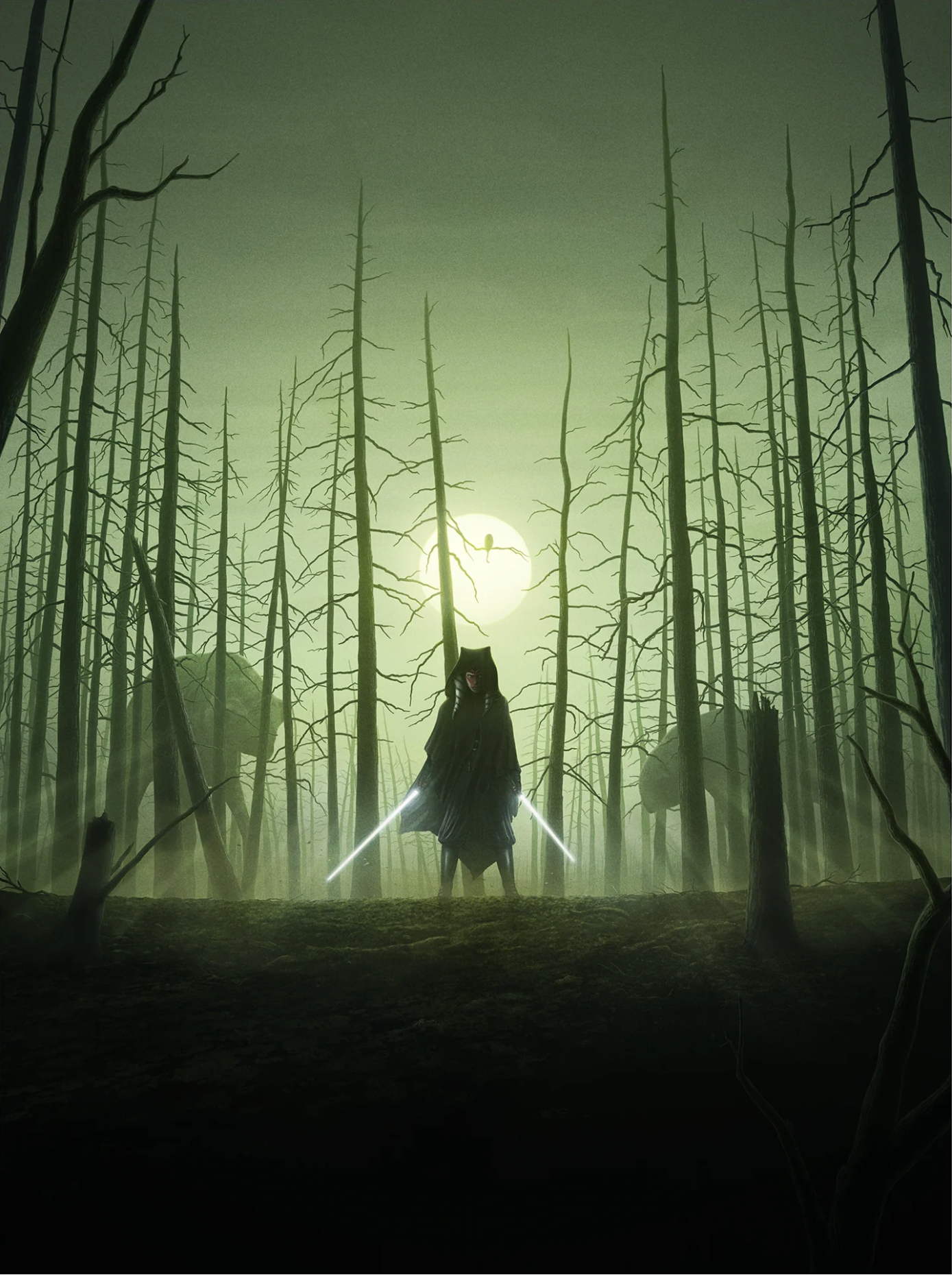 Ahsoka Tano in the forests of Corvus