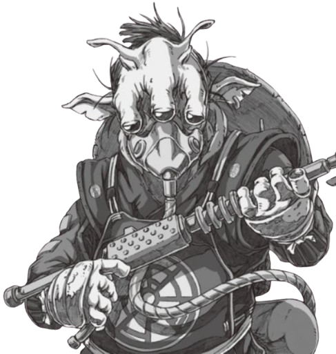 Unidentified Gran guard appearance 