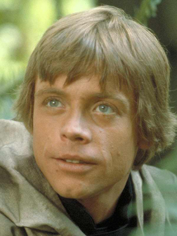 Skywalker left his allies on Endor, believing he endangered the mission.