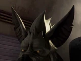 Marrok