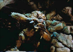 Rancor Jabba