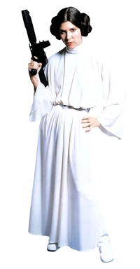 ArmedWithAttitudeLeia-OfficialPix