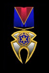 Medal of Unity appearance in Common Appearance