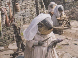 Alcida-AukaFishScaling