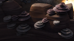 CliffsideUmbrellaTrees