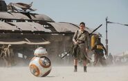 Reybb-8teaser2