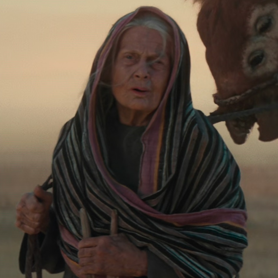 Unidentified Tatooine elder appearance in Common Appearance