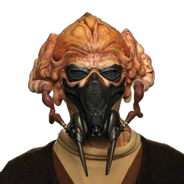 Plo Koon Wookieepedia Fandom