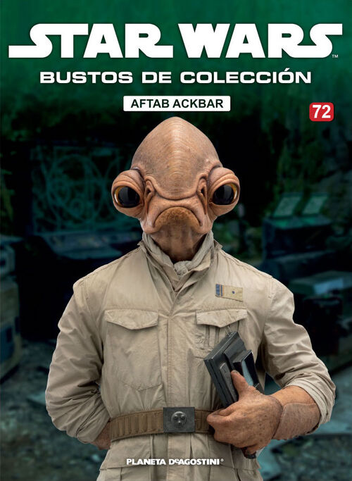 BustCollection72