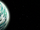 Cato Neimoidia system