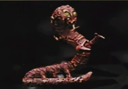 K'lor'slug