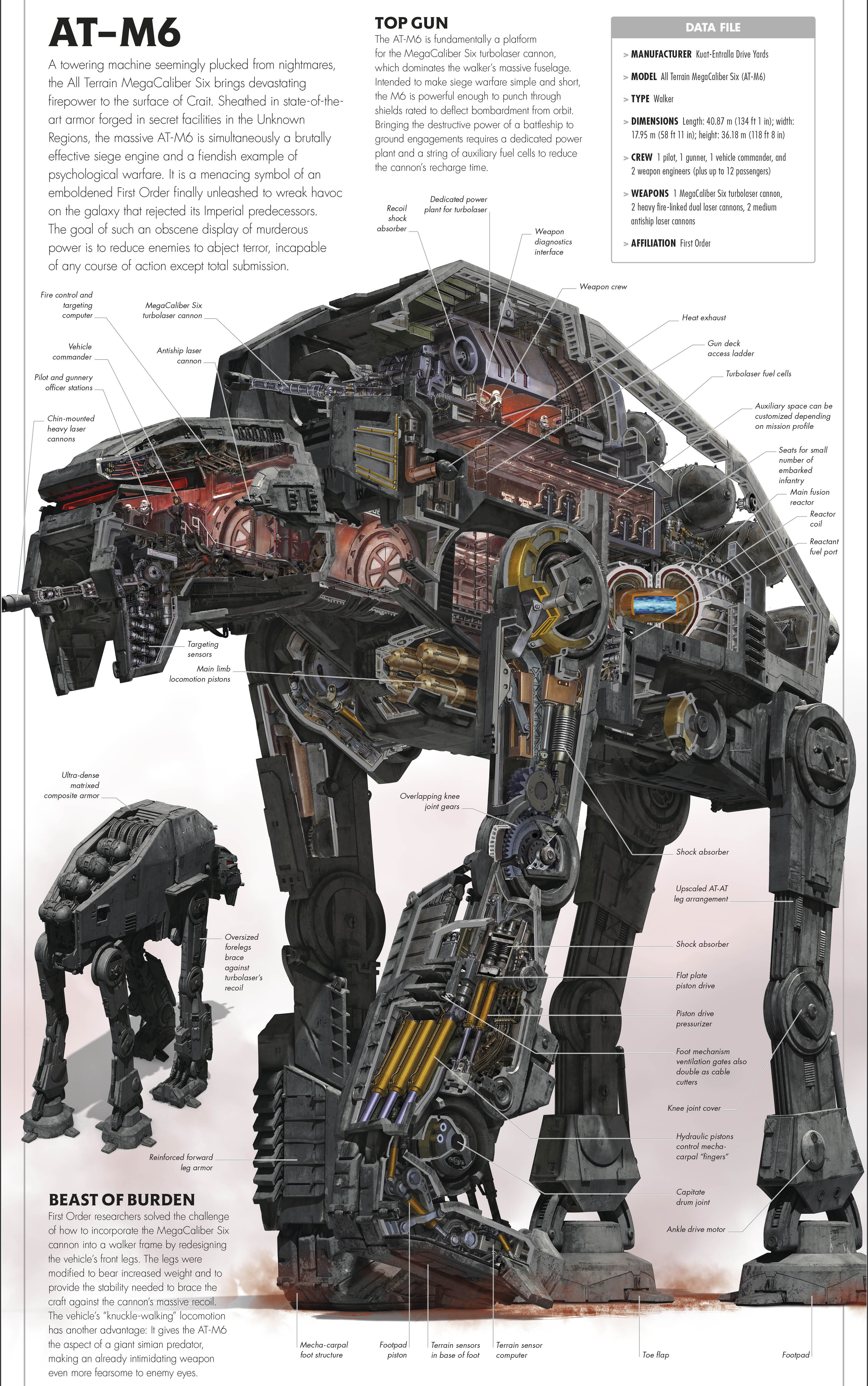 AT-M6 cross section