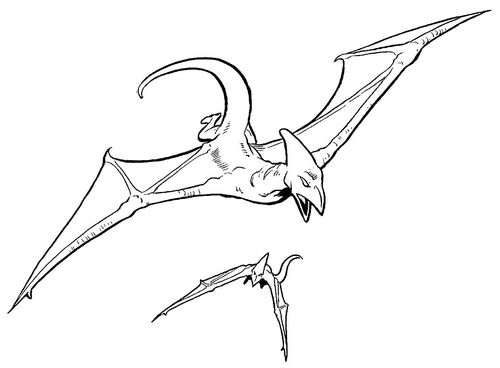 Pterosaur5
