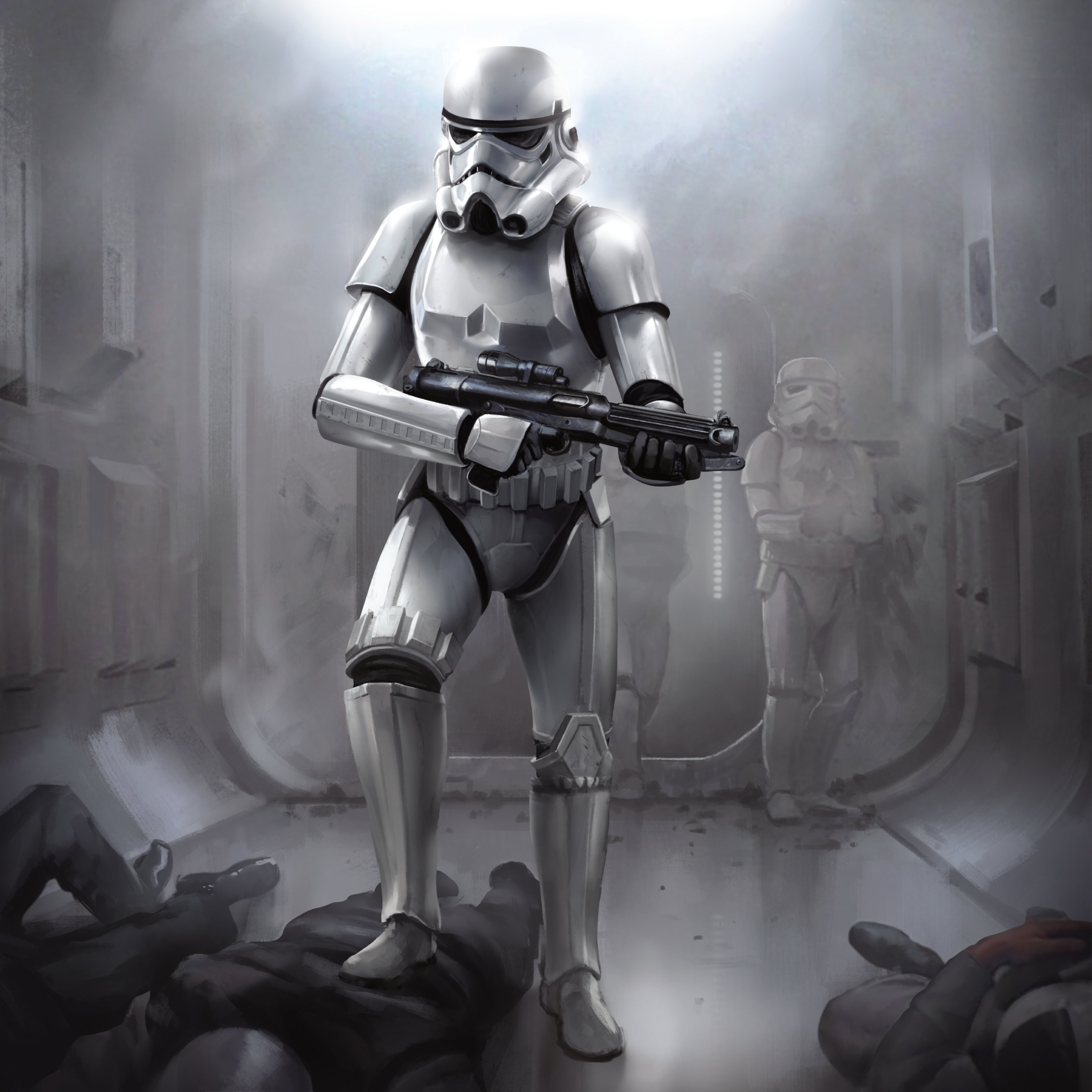 The 501st stormed the Tantive IV and captured Princess Leia of Alderaan.