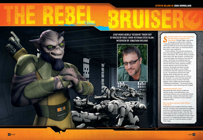 The Rebel Bruiser appearance in Common Appearance