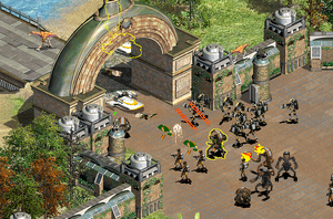 Village defence