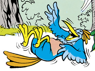 Loonee bird appearance 