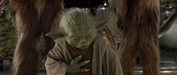 Yoda voelt de Great Jedi Purge