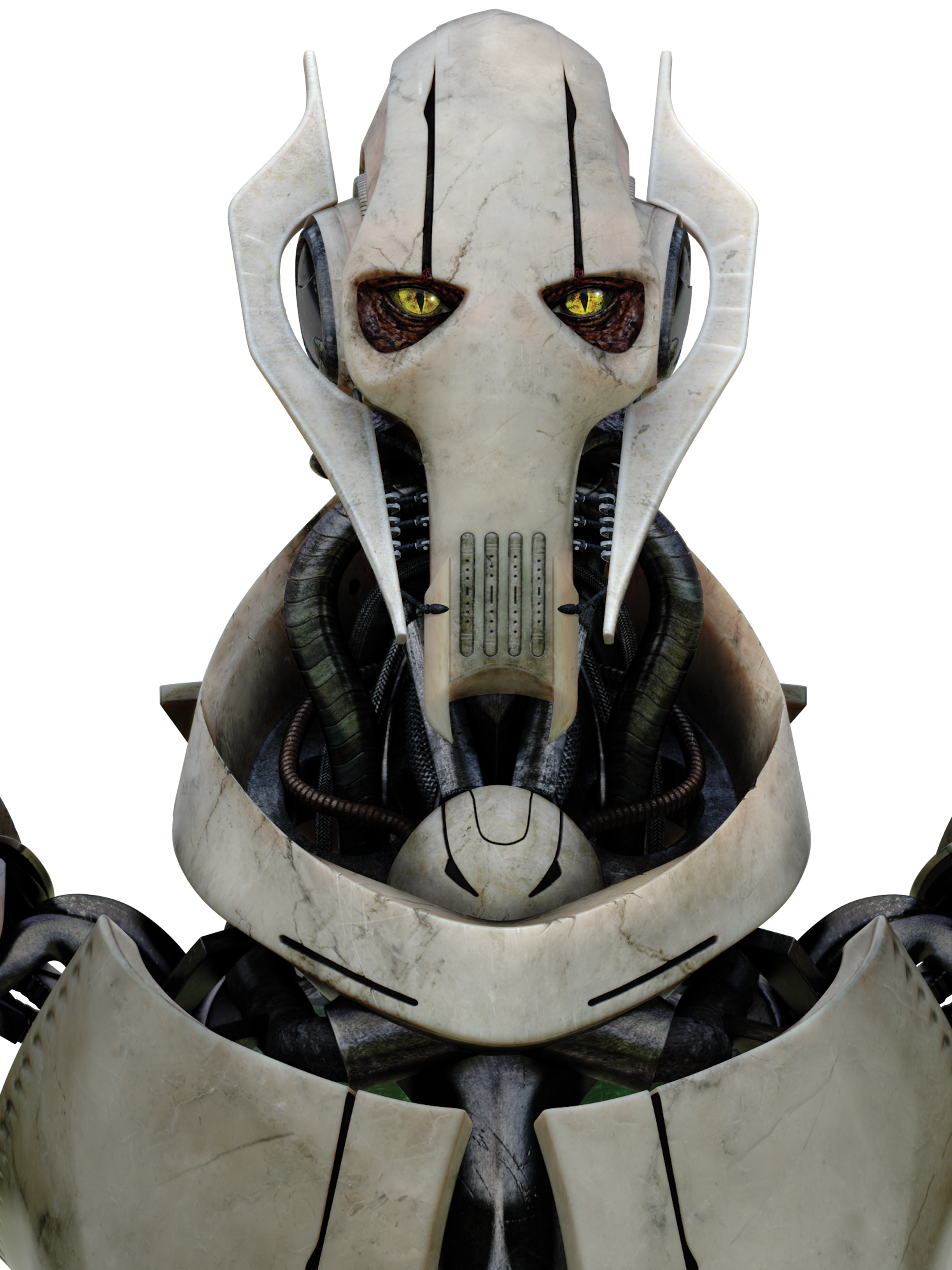 general grievous species