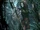 Nightsister1.jpg
