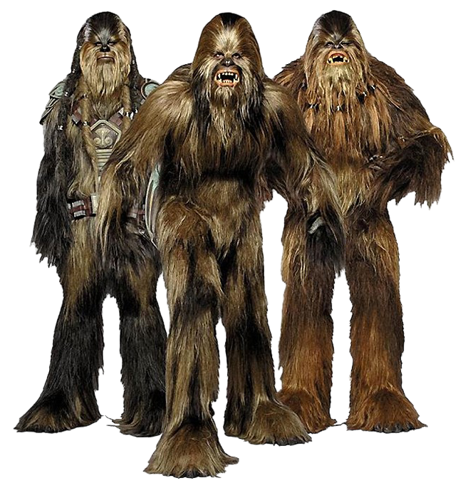 I present this Wookification Award to so and so for their contributions with Wookification. -- Riffsyphon1024 19:20, 4 Aug 2005 (UTC)