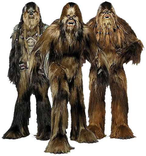 ウーキー Wookieepedia Fandom