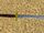 Sword of Ajunta Pall