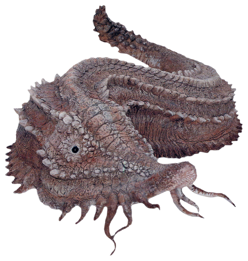 Duracrete slug Wookieepedia Fandom