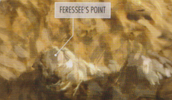 Feressee's Point appearance in Common Appearance