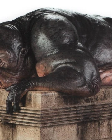 スターグ ガンナ Wookieepedia Fandom