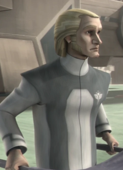 Unidentified-Mandalorian-Orderly