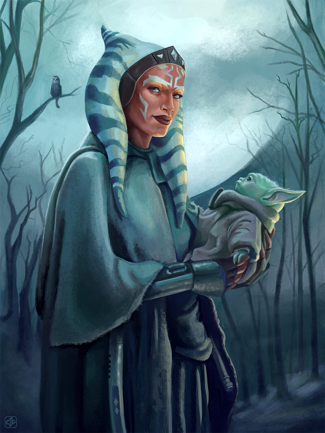 Ahsoka Tano met Grogu, a Force-sensitive of the same species as Master Yoda.