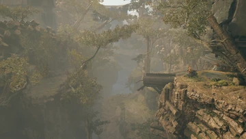 Basalt_Forest_-_Survivor