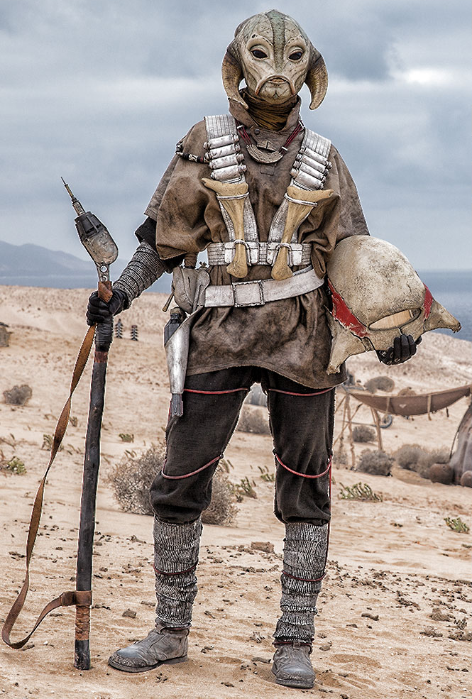 Silvasu Fi's species appearance 