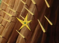 Star urchin quill-TV