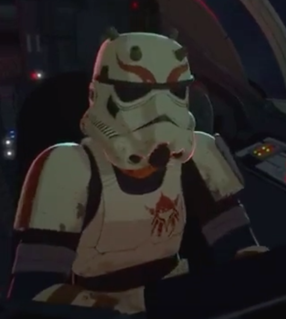 Unidentified Warbird pirate appearance 