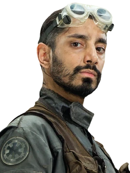 Bodhi Rook Fathead